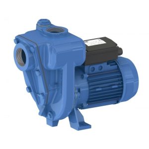 B2KQA-2761 Robinsons Self Priming Pump